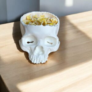 Totenkopf - Schale - Halloween - Deko -menschlicher Schädel